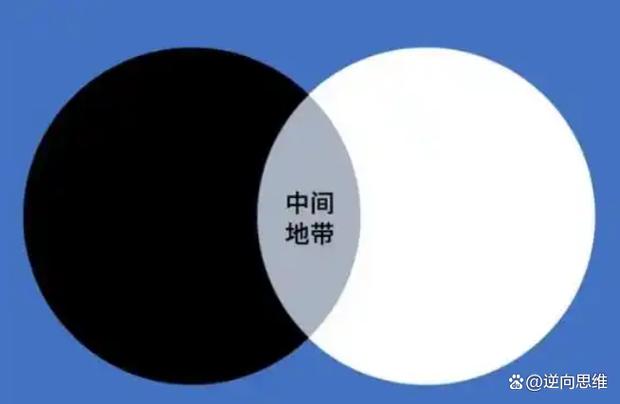 二、类推适用？灰色地带