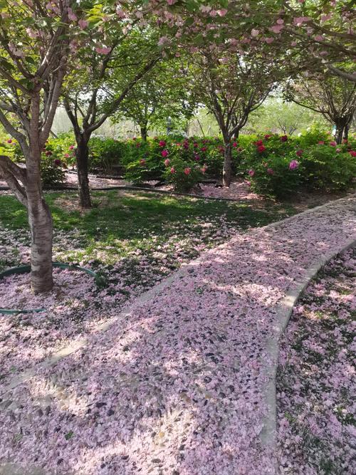3. 南山植物园:花多路陡,慎选周末