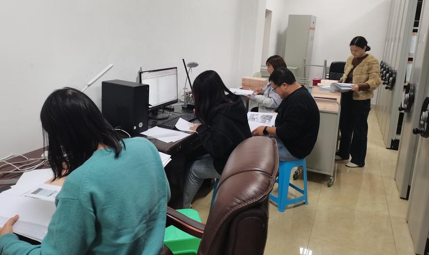 招生办工作人员整理考生档案场景
