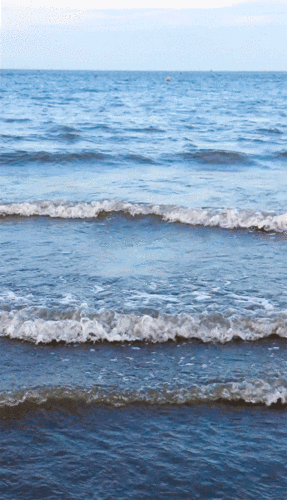 海边抓拍动态瞬间