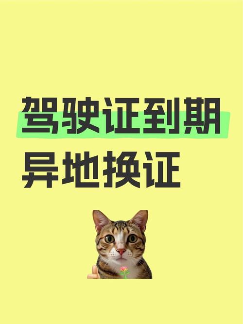 拿证之后,路就顺了吗?