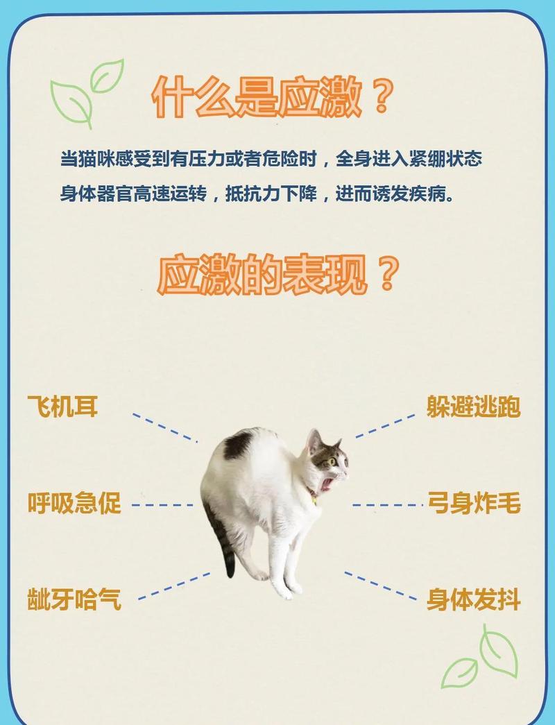 宠物应激状态下的肢体信号识别图