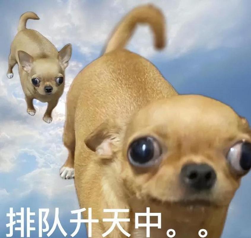 街头奶茶店手写字牌写着网络热梗标语