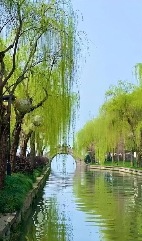 扬州瘦西湖长堤春柳烟雨图