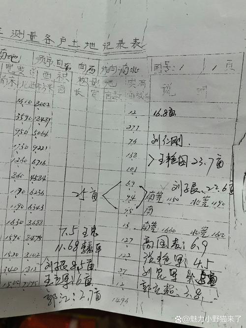 农村集体山林确权登记台账照片