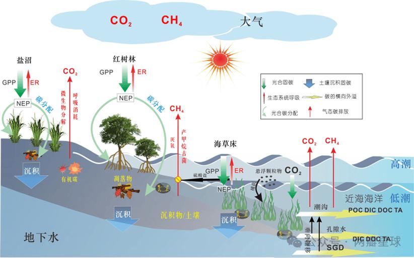 太阳能板生命周期碳排放示意图