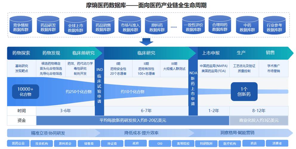 生物医药研发全生命周期阶段划分图