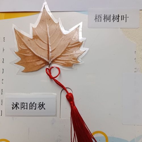 小学生书包外挂着的梧桐叶标本