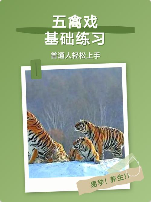 普通人就能上手的操作方法