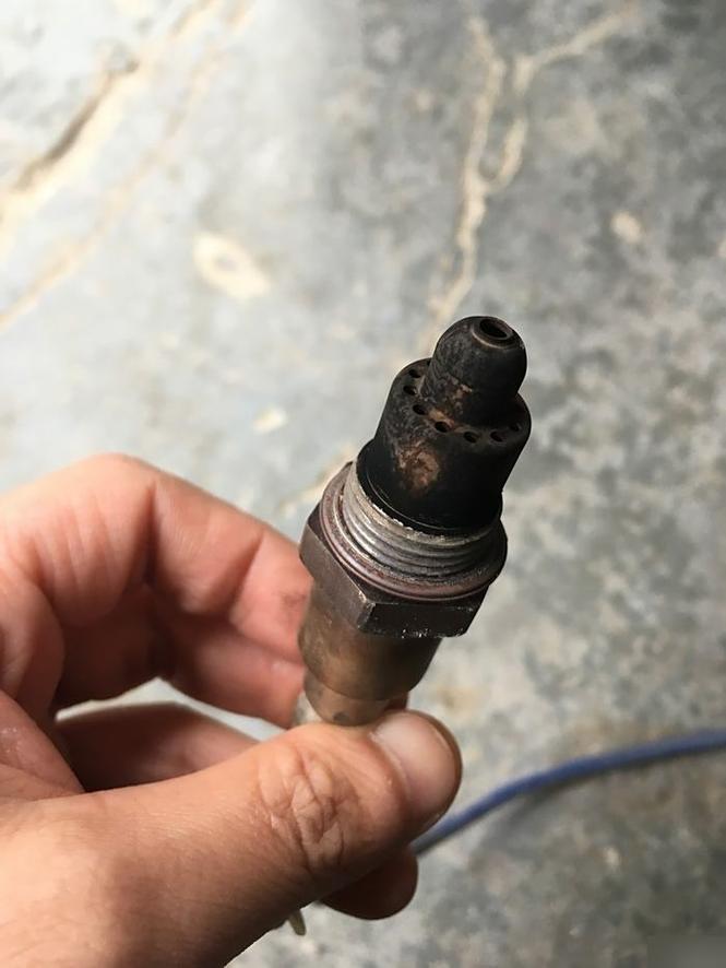 汽车氧传感器插头针脚氧化腐蚀实物图