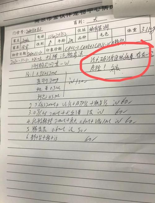 宠物癫痫发作日常记录手写模板