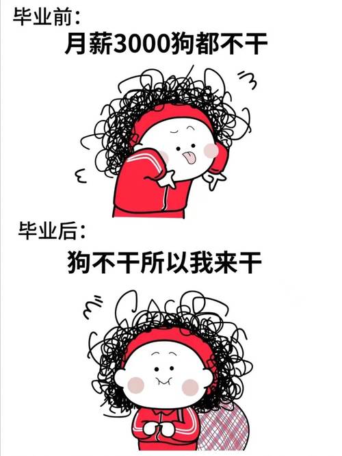 学校里，理想很丰满，现实很骨感