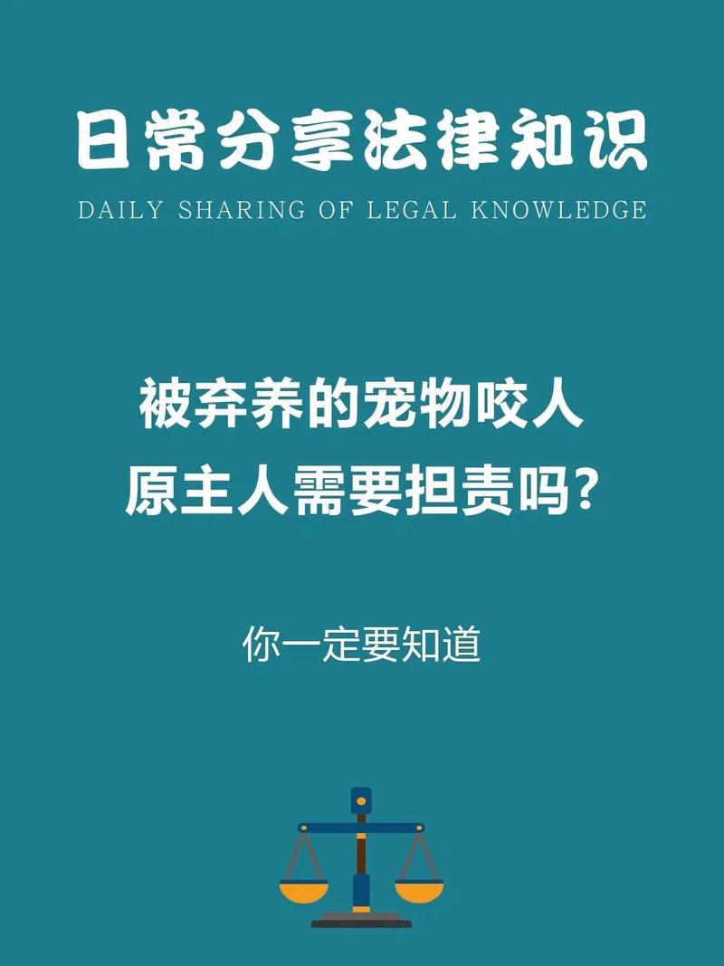 2022-2024宠物伤人案件责任占比统计图