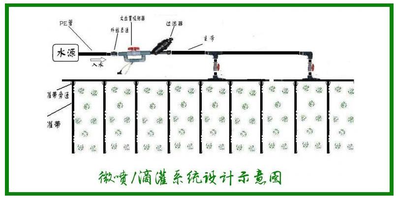 装修工程师告诉你：花艺这样融进家，比样板间还美！