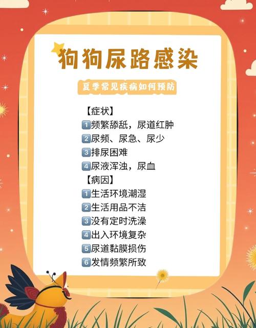 狗狗泌尿系统感染常见症状对照图