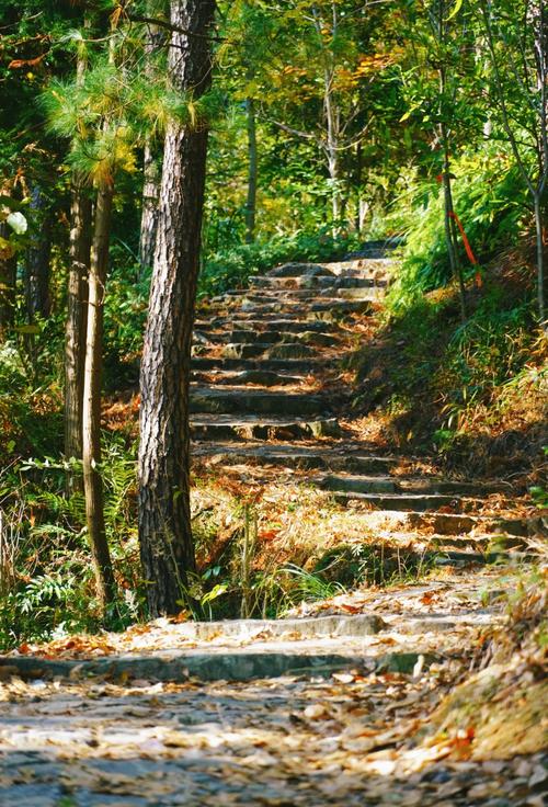 圣灯山红叶古道