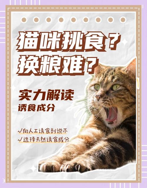 绝大多数“挑食”，其实是你选粮错了