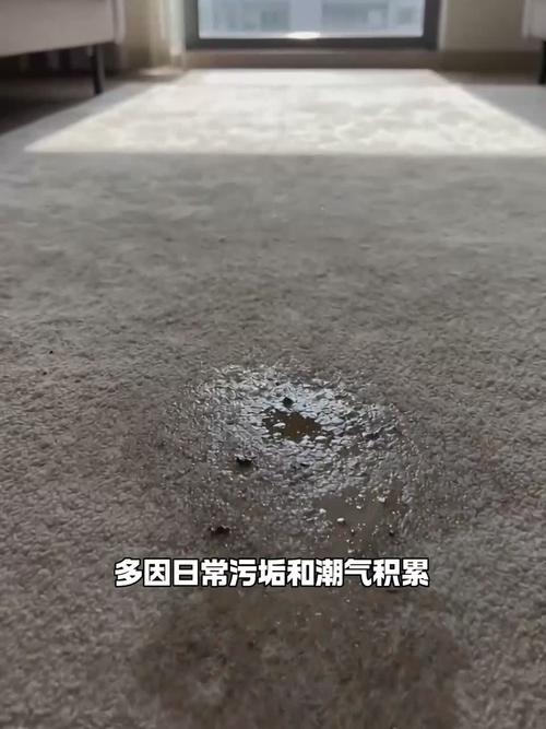 小苏打撒客厅地毯天然除味实景图