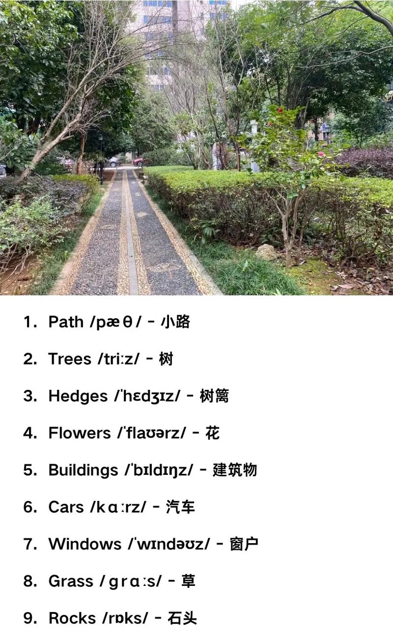 亲子小区散步认路牌英文单词场景