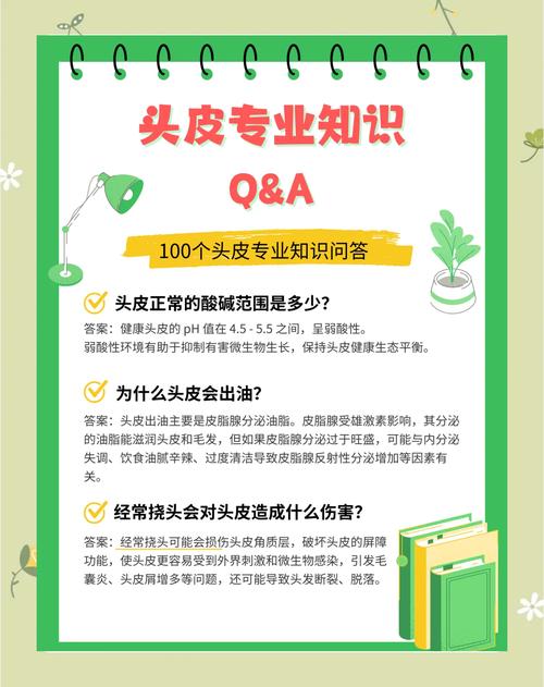 关于head，你还要知道这些实用小知识