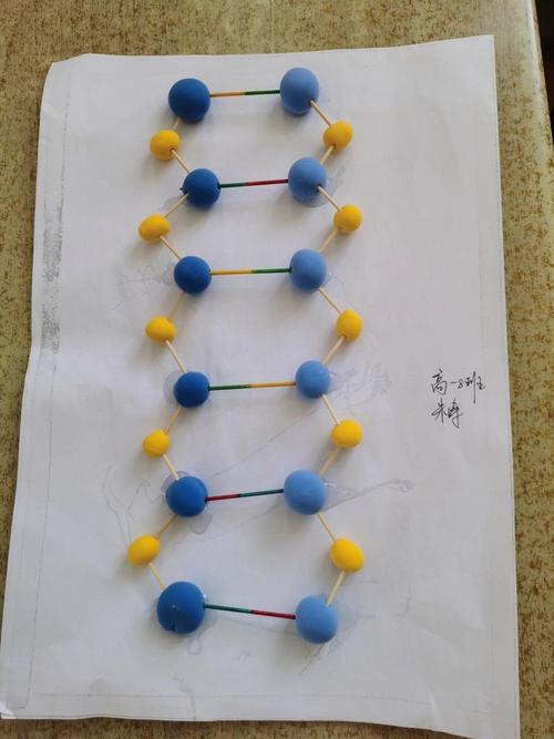 基因编辑DNA双螺旋结构分子可视化模型