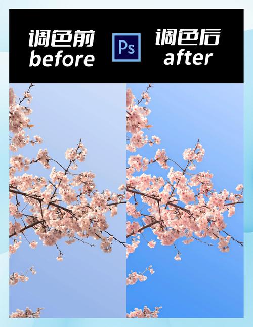 Photoshop后期模拟浅景深效果步骤图