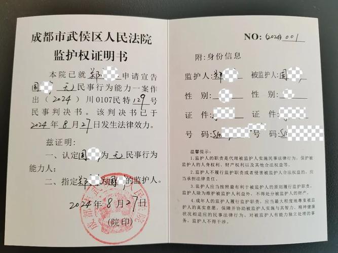 法院门口办理监护权案件的当事人