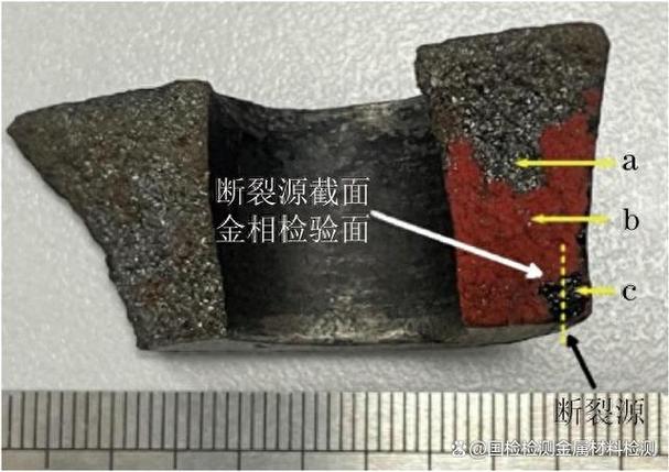 铸钢件断面疏松微观形貌图