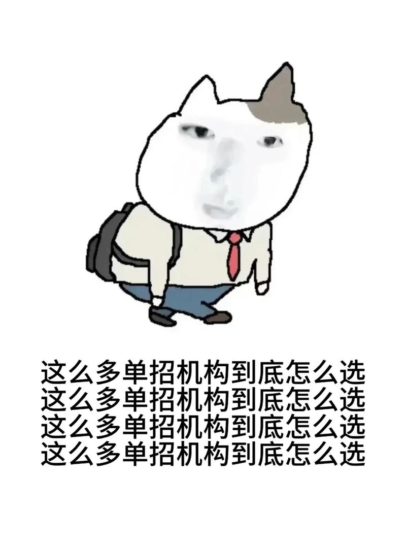 那么,到底怎么选?