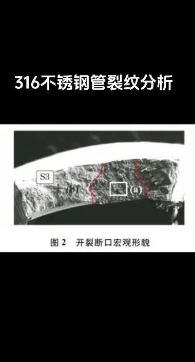 316L输气管应力腐蚀开裂断口微观图