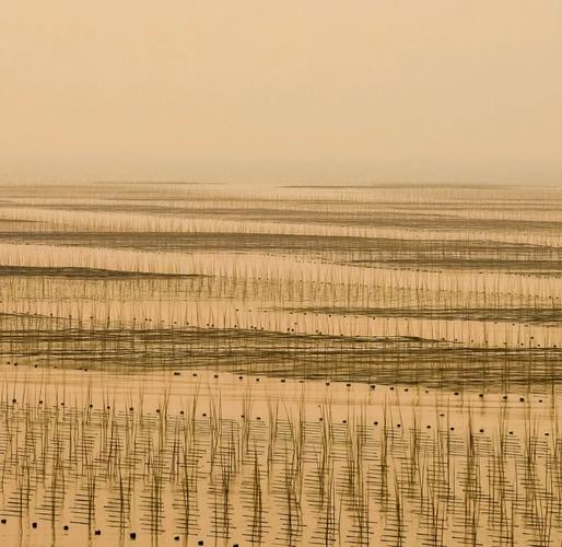 3. 霞浦：滩涂与光影的几何游戏