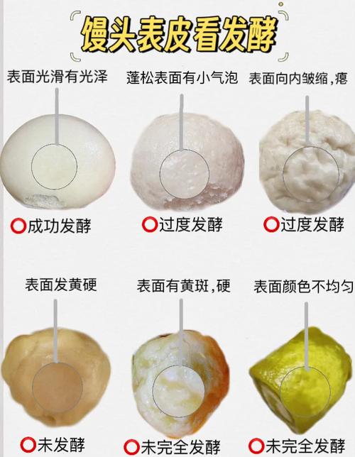 面包发酵状态判断示意图