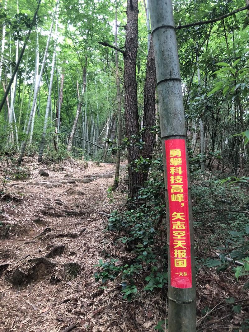 挑厂家的几条野路子