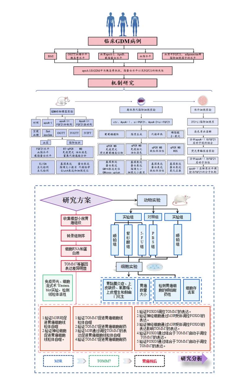 知识产权保护，让我欢喜让我忧——一个科研民工的碎碎念