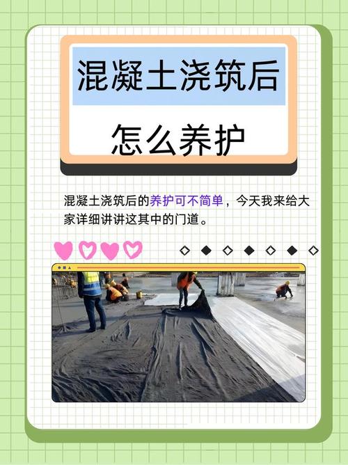 验收与养护篇:懒人也能轻松打理