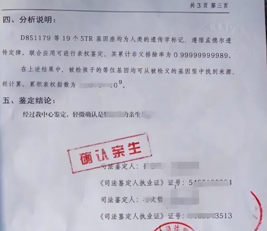 亲子鉴定报告书样本照片