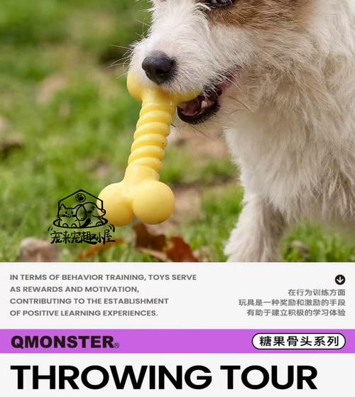 幼犬磨牙玩具训练纠正乱咬
