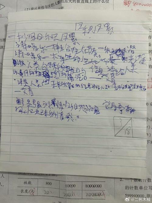 小学生作业本上反复涂改的模糊字迹