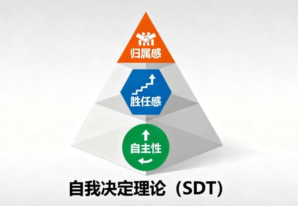 自我决定论中自主感胜任感归属感示意图