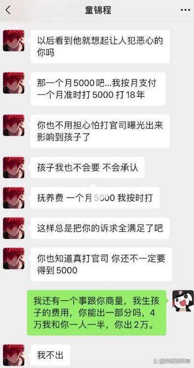 手机沟通抚养费聊天记录截图界面