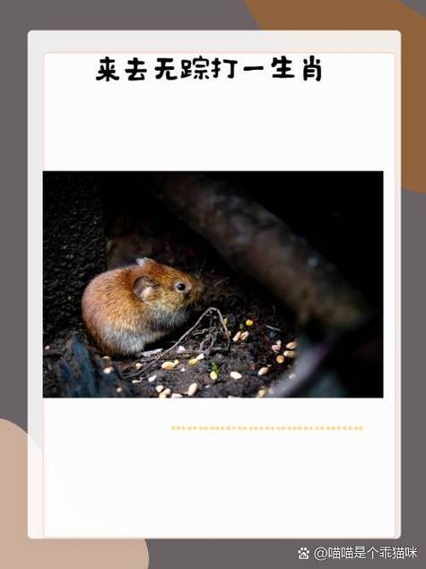 寻味动线:跟着我走,不踩雷