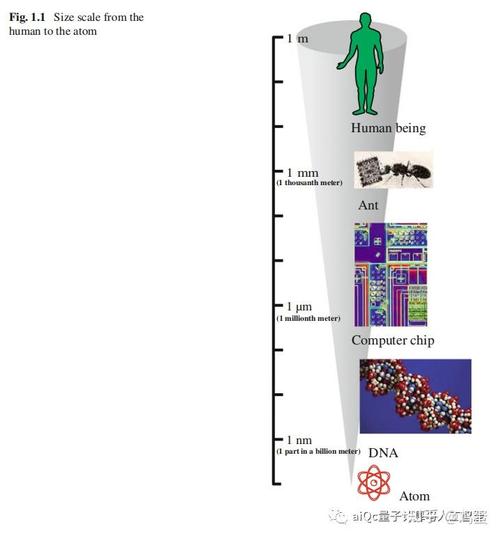 不同尺度物体纳米级对比示意图