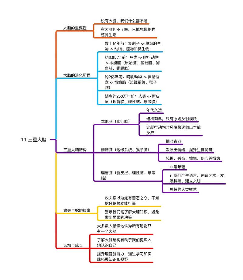 医学生使用脑图整理MCAT知识点