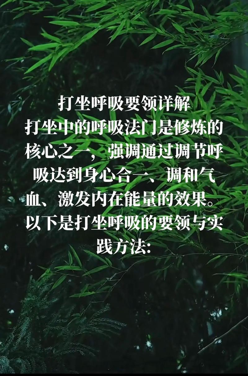 演讲前坐姿深呼吸的节奏示意图