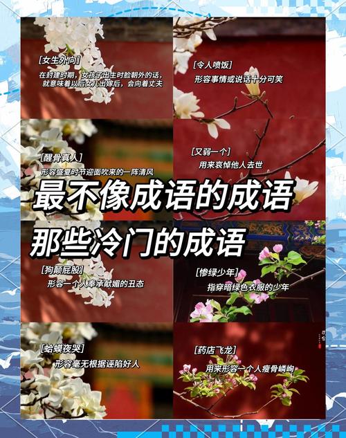 实例说明:三分钟记住一个让语文老师刮目相看的冷门成语