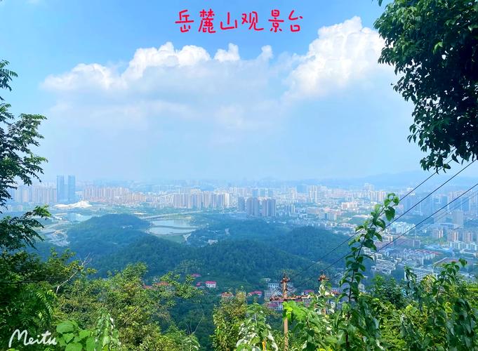 三、岳麓山观景台:城市在脚下摊开,像一张老胶片