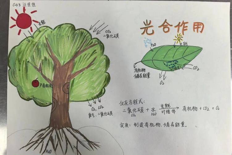 亲子手绘认知节奏光合作用曲线涂鸦