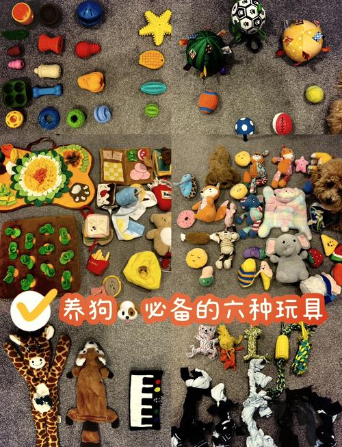 不同宠物，玩具丰容的重点完全不一样