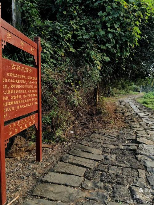 南漳新集村入口古樟树下的石板支路