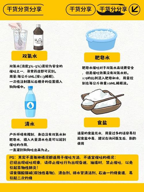 宠物误食后可催吐与禁催吐场景对比示意图